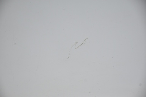 BŁOTNIK PRZEDNI PRZÓD PRAWY FORD S-MAX F7