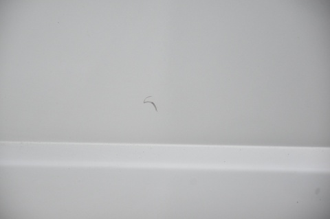 DRZWI BOCZNE PRZESUWNE PRAWE CITROEN JUMPY EXPERT II SCUDO EZRC