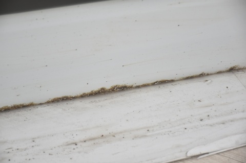 DRZWI PRZEDNIE PRZÓD PRAWE FORD TRANSIT CUSTOM 12-17