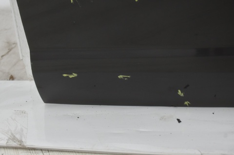 DRZWI PRZEDNIE PRZÓD PRAWE VW PASSAT CC