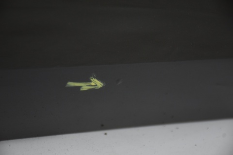 DRZWI PRZEDNIE PRZÓD PRAWE VW PASSAT CC