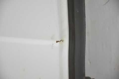 DRZWI TYLNE TYŁ LEWE CITROEN JUMPY EXPERT SCUDO II