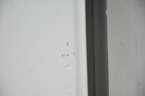 DRZWI TYLNE TYŁ LEWE CITROEN JUMPY EXPERT SCUDO II