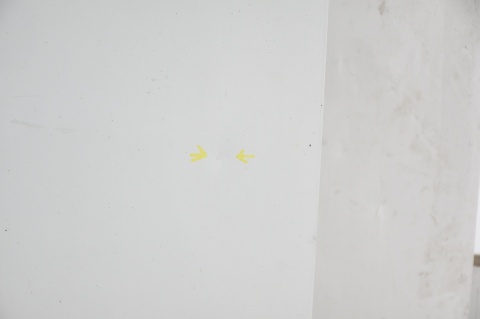 DRZWI TYLNE TYŁ LEWE RENAULT TRAFIC II OPEL VIVARO