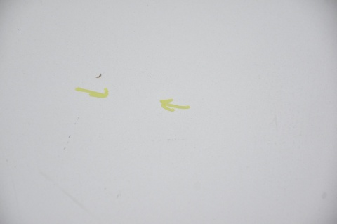 DRZWI TYLNE TYŁ LEWE RENAULT TRAFIC II OPEL VIVARO