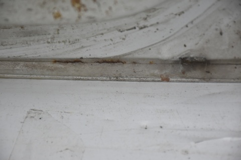 DRZWI TYLNE TYŁ LEWE RENAULT TRAFIC II OPEL VIVARO