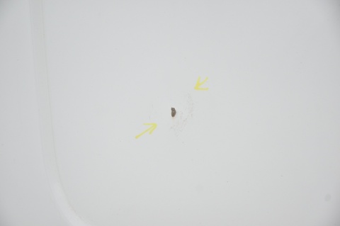 DRZWI TYLNE TYŁ LEWE RENAULT TRAFIC III OPEL VIVARO B