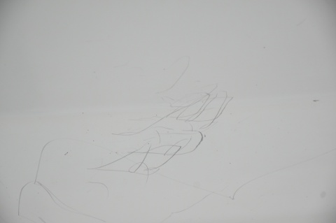 DRZWI TYLNE TYŁ PRAWE OPEL COMBO III D FIAT DOBLO