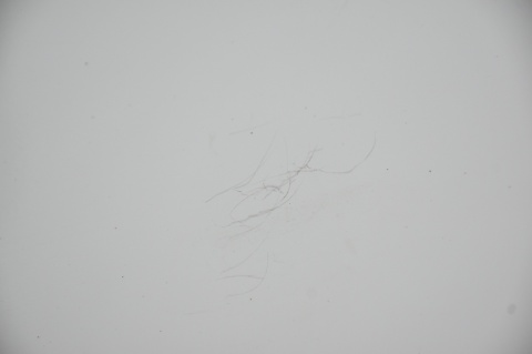 DRZWI TYLNE TYŁ PRAWE OPEL COMBO III D FIAT DOBLO