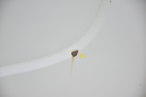 DRZWI TYLNE TYŁ PRAWE RENAULT TRAFIC II OPEL VIVARO