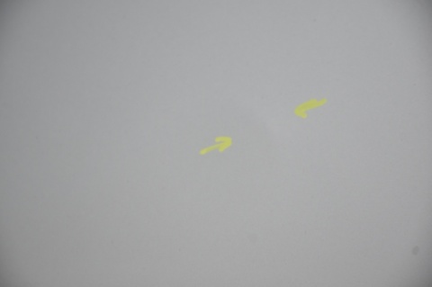 DRZWI TYLNE TYŁ PRAWE RENAULT TRAFIC II OPEL VIVARO