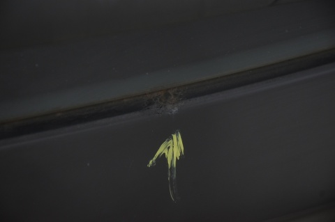 KLAPA TYLNA TYŁ HYUNDAI I30 I PAE HB