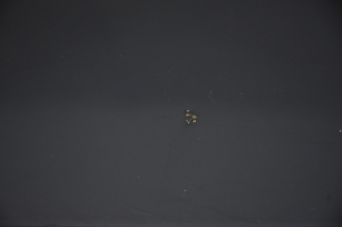 KLAPA TYLNA TYŁ SEAT ALTEA I LW5U