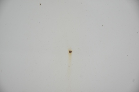 MASKA POKRYWA SILNIKA BMW 3 E90 E91 LIFT