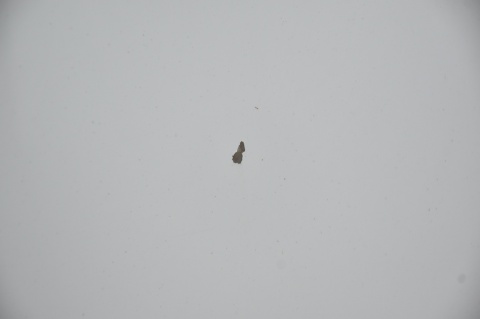 MASKA POKRYWA SILNIKA BMW 3 E90 E91 LIFT