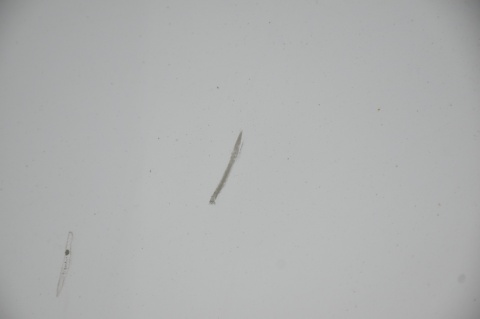 MASKA POKRYWA SILNIKA BMW 3 E90 E91 LIFT