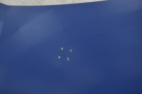 MASKA POKRYWA SILNIKA FIAT FIORINO III 479