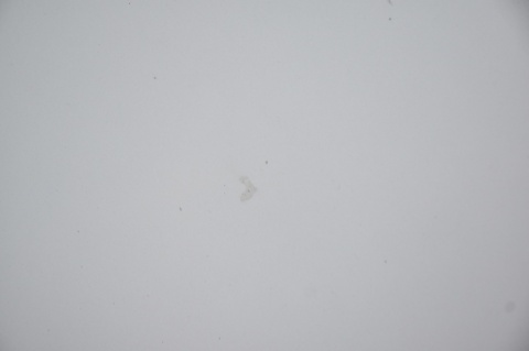 MASKA POKRYWA SILNIKA FORD S-MAX GALAXY MK3 76