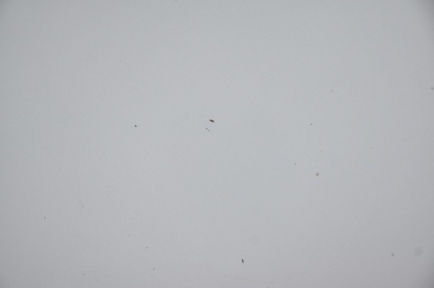 MASKA POKRYWA SILNIKA FORD S-MAX GALAXY MK3 76