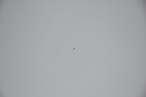 MASKA POKRYWA SILNIKA HONDA FR-V FRV NH623M