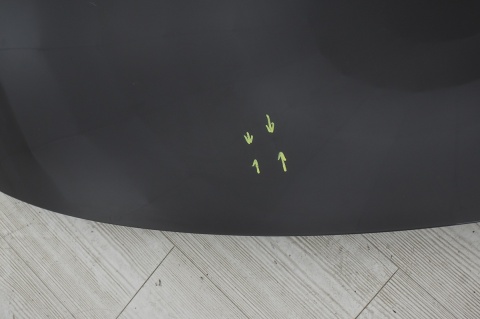 MASKA POKRYWA SILNIKA RENAULT SCENIC III 3