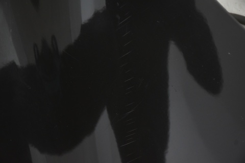 MASKA POKRYWA SILNIKA RENAULT SCENIC III 3