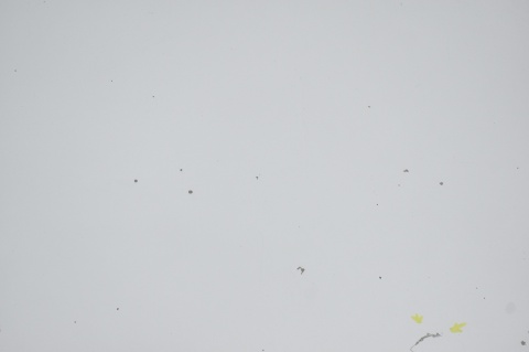 MASKA POKRYWA SILNIKA BMW 3 E46 LIFT