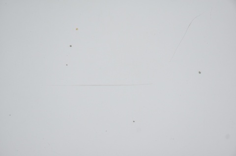 MASKA POKRYWA SILNIKA BMW 3 E46 LIFT