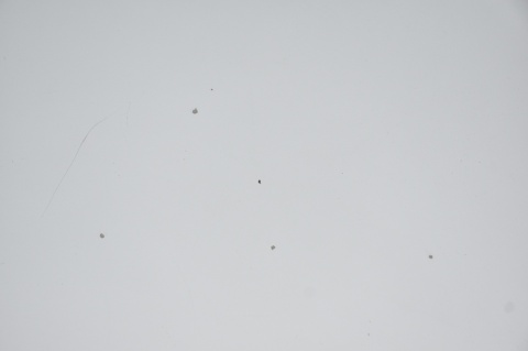 MASKA POKRYWA SILNIKA BMW 3 E46 LIFT