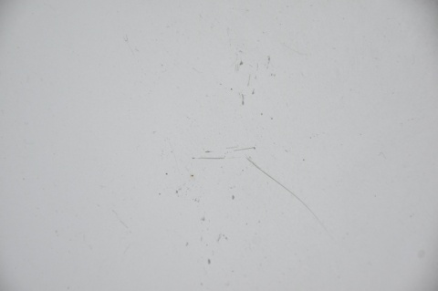 MASKA POKRYWA SILNIKA BMW 3 E46 LIFT