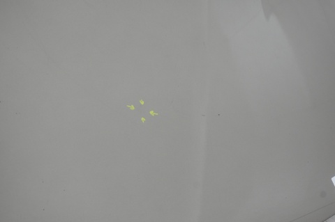 MASKA POKRYWA SILNIKA BMW X3 E83 A53/8