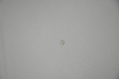 MASKA POKRYWA SILNIKA BMW X3 E83 A53/8