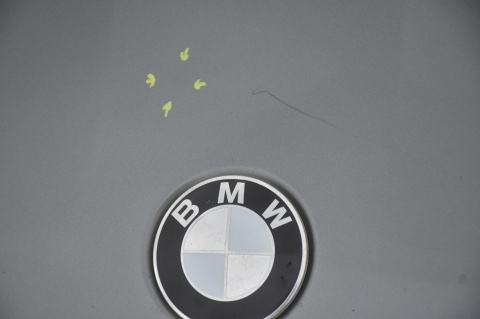 MASKA POKRYWA SILNIKA BMW X5 E53 LIFT