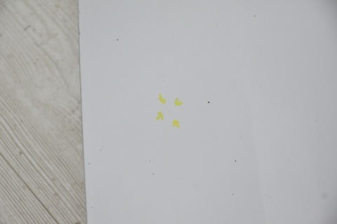 MASKA POKRYWA SILNIKA CITROEN BERLINGO I PARTNER LIFT EZRC