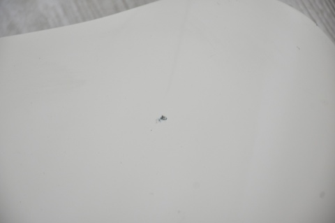 MASKA POKRYWA SILNIKA MINI ONE COOPER R50 LIFT