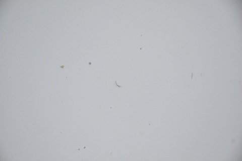 MASKA POKRYWA SILNIKA MINI ONE COOPER R50