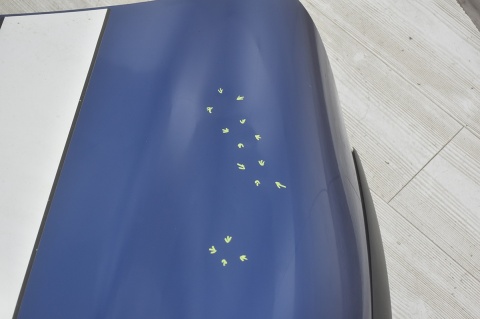 MASKA POKRYWA SILNIKA MINI ONE COOPER R50