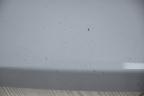 MASKA POKRYWA SILNIKA NISSAN QASHQAI I LIFT J10 KAQG