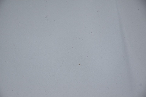 MASKA POKRYWA SILNIKA NISSAN QASHQAI I LIFT J10 KAQG