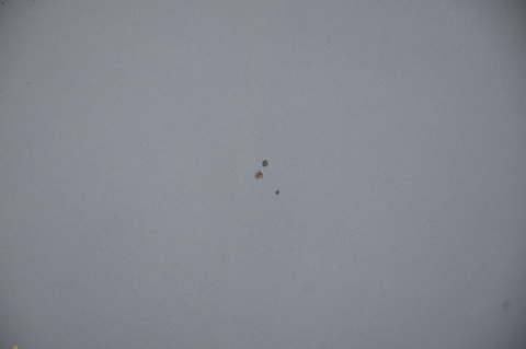 MASKA POKRYWA SILNIKA SKODA FABIA II ROOMSTER 9154