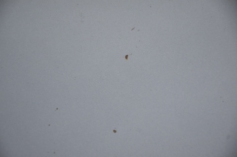 MASKA POKRYWA SILNIKA SKODA FABIA II ROOMSTER 9154