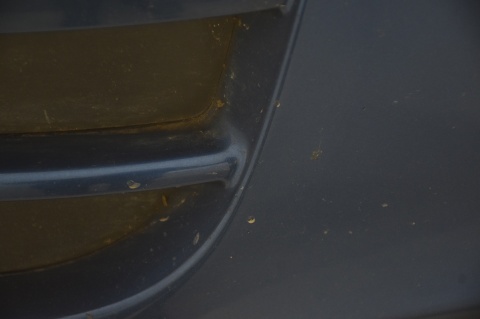 ZDERZAK PRZEDNI PRZÓD AUDI A4 B7 PDC LZ5C