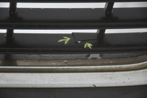 ZDERZAK PRZEDNI PRZÓD VW PASSAT B6 LA7W