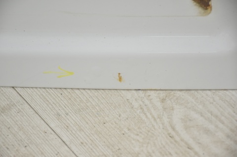 DRZWI TYLNE TYŁ LEWE CITROEN JUMPY EXPERT SCUDO II