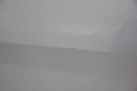 DRZWI TYLNE TYŁ LEWE FORD C-MAX GRAND MK2