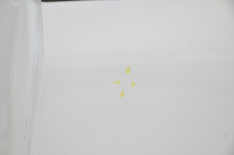 DRZWI TYLNE TYŁ LEWE MAZDA MX30