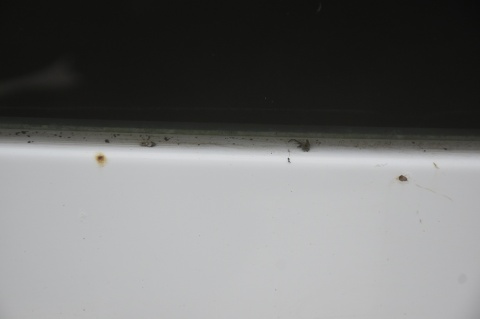 DRZWI TYLNE TYŁ LEWE RENAULT KANGOO II