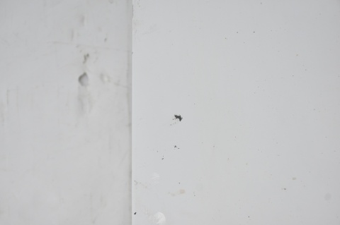 DRZWI TYLNE TYŁ PRAWE CITROEN JUMPY EXPERT II