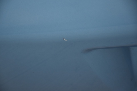 KLAPA TYLNA TYŁ CITROEN C4 PICASSO I LIFT