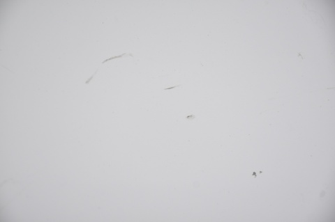 KLAPA BAGAŻNIKA TYLNA TYŁ HYUNDAI I40 KOMBI KAMERA NCW